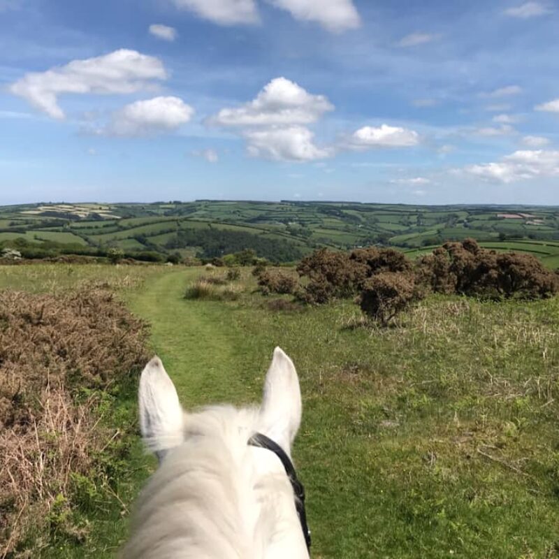 Beautiful view while riding