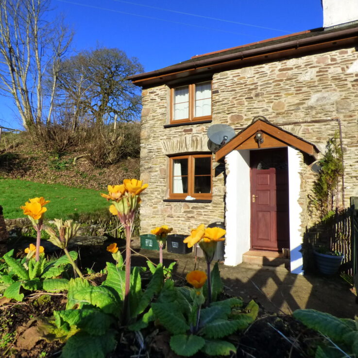 SelfCatering Holiday Cottages on Exmoor Court Farm